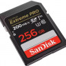 Карта памяти SDXC UHS-I U3 Sandisk 256 ГБ, 200 МБ/с, Class 10, SDSDXXD-256G-GN4IN, 1 шт.
