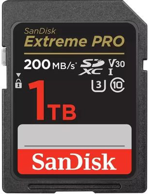 Карта памяти SDXC UHS-I U3 Sandisk 1024 ГБ, 200 МБ/с, Class 10, SDSDXXD-1T00-GN4IN, 1 шт.