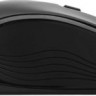 Мышь Acer OMR303, оптическая, беспроводная, черный [zl.mcecc.01y]