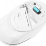 Мышь A4TECH Fstyler FB12, оптическая, беспроводная, USB, белый [fb12 white]