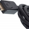Кабель Display Port DisplayPort (m) - DVI (m), GOLD , 3м, черный