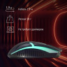 Мышь Oklick 398G, игровая, оптическая, проводная, USB, черный [1431665]
