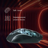 Мышь Oklick 702G, игровая, оптическая, проводная, USB, черный [1902907]