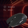 Мышь Oklick 765G SYMBIONT, игровая, оптическая, проводная, USB, черный [945841]