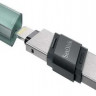 Флешка USB Sandisk iXpand SDIX90N-064G-GN6NK 64ГБ, USB3.1, зеленый и серебристый
