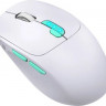 Мышь Defender Nitta MM-307, игровая, оптическая, беспроводная, USB, белый и голубой [52307]