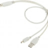 Кабель USB2.0 NingBo USB A(m) - mini USB B (m), 0.3м