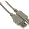 Кабель USB2.0 USB A(m) - USB B(m), 3м, серый
