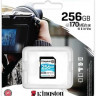 Карта памяти SDXC UHS-I U3 Kingston Canvas Go! Plus 256 ГБ, 170 МБ/с, Class 10, SDG3/256GB, 1 шт., без адаптера