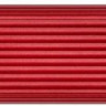 Внешний диск SSD Patriot Transporter Lite, 512ГБ, красный [ptpl512gpec]