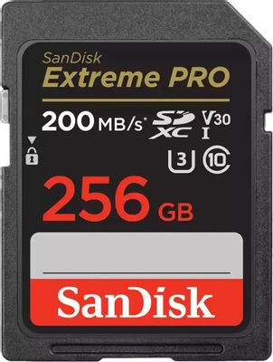 Карта памяти SDXC UHS-I U3 Sandisk 256 ГБ, 200 МБ/с, Class 10, SDSDXXD-256G-GN4IN, 1 шт.