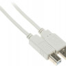 Кабель USB2.0 NingBo USB A(m) - USB B(m), 1.8м [usb2.0-am-bm]