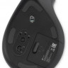 Мышь Oklick 991MW, вертикальная, оптическая, беспроводная, USB, серый [1885263]