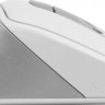 Мышь A4TECH Fstyler FM45S Air, оптическая, проводная, USB, белый и серебристый [fm45s air usb (silver white)]