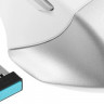 Мышь A4TECH Fstyler FB35, оптическая, беспроводная, USB, белый и серый [fb35 icy white]