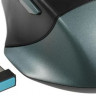 Мышь A4TECH Fstyler FB35C, оптическая, беспроводная, USB, зеленый и черный [fb35c midnight green]