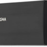 Внешний диск SSD Digma MEGA X, 2ТБ, темно-серый [dgsm8002t2mgg]