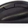 Мышь Oklick 504M, оптическая, проводная, USB, черный и серый [2004741]