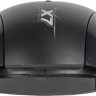 Мышь A4TECH X89, игровая, оптическая, проводная, USB, черный [x89 (black)]