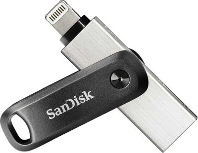Флешка USB Sandisk iXpand Go 64ГБ, USB3.0, черный и серебристый [sdix60n-064g-gn6nn]