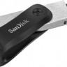 Флешка USB Sandisk iXpand Go 256ГБ, USB3.0, черный и серебристый [sdix60n-256g-gn6ne]