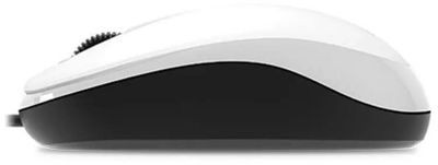 Мышь Genius DX-125, оптическая, проводная, USB, белый и черный [31010106102]