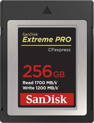 Карта памяти ExpressCard Sandisk Extreme Pro 256 ГБ, 1700 МБ/с, Class 3, 1 шт., без адаптера [sdcfe-256g-gn4nn]