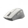 Мышь A4TECH Fstyler FG30, оптическая, беспроводная, USB, белый и серый [fg30 white]