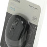 Мышь A4TECH Fstyler FG10, оптическая, беспроводная, USB, черный и серый [fg10 grey]