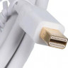 Кабель 1.2v, miniDisplayPort (m) - miniDisplayPort (m), GOLD , 2м, белый