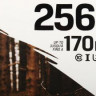 Карта памяти microSDXC UHS-I U3 Kingston Canvas Go! Plus 256 ГБ, 170 МБ/с, Class 10, SDCG3/256GBSP, 1 шт., без адаптера