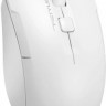 Мышь A4TECH Fstyler FG16CS Air, оптическая, беспроводная, USB, белый [fg16cs air white]