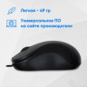 Мышь Oklick 115S, оптическая, проводная, USB, черный [711636]